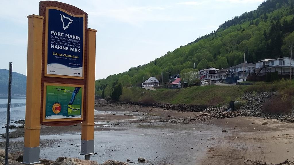 Apartement Mirador Du Fjord LʼAnse-Saint-Jean Екстериор снимка